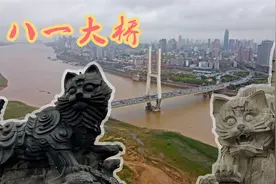 南昌地标之一的八一大桥，桥头不是神兽，竟是一黑一白两只大猫