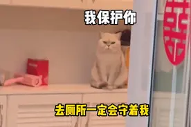 小猫咪能知道主人怀孕吗？随着肚子越来越大，它对我越来越温柔