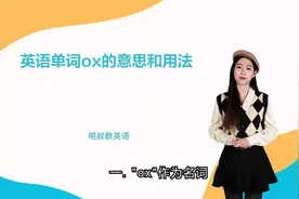 英语单词ox的意思和用法