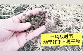 昨晚大雨结束了江苏80天不下雨的记录 从未如此期待一场雨的到来视频封面