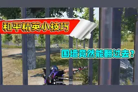 和平精英：吃鸡里你不知道的那些小技巧，非常高的围墙也能翻过去