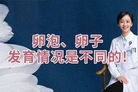 你知道吗，卵泡、卵子其实是不同的！视频封面