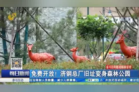 游玩好去处！济钢中央森林公园免费开放，快来打卡“天然氧吧”