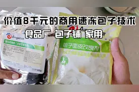 商用速冻包子生胚技术配方，包子铺学会再也不用起早了视频封面