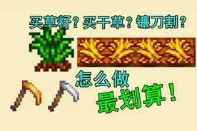 精打细算星露谷之草籽/干草怎么买怎么种最划算？