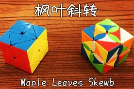 枫叶斜转魔方还原教程