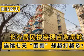 长沙居民楼突现百条毒蛇，连续七天越打越多，闹市为何遭遇蛇灾？视频封面