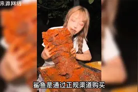 网红提子账号被封禁，食用大白鲨保护动物，或将面临5年有期徒刑视频封面