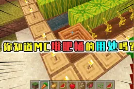 我的世界：堆肥桶的用处，将食物转换成肥料，其中蛋糕转换率最高