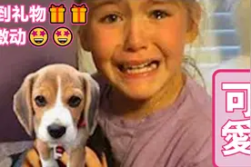 哽咽催泪~请你别哭：当孩子收到小狗作为礼物后都哭了 太感人了视频封面