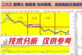 二六三 鹏博士 数据港 光环新网 底部崛起还是超跌反弹？技术分析