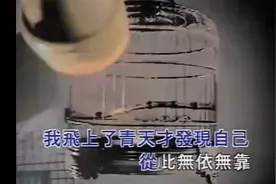 赵传《我是一只小小鸟》演唱版视频封面