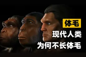 为什么人在进化过程中，把体毛褪没了？只留头发、腋毛和隐私部位视频封面