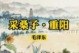 诗词欣赏：《采桑子·重阳》毛泽东视频封面