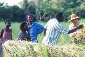 继广州又一座城黑人越来越多的城市，200万义乌人有1.3万非洲人视频封面