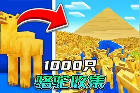 我的世界：1000只骆驼收集挑战
