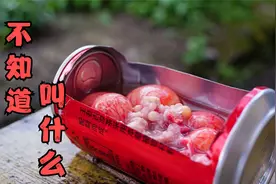 饮料喝完罐子别丢可以拿来烤鸡肚子里的蛋，软糯细腻，美味又营养