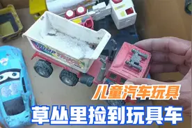 儿童汽车玩具：草丛里捡到好多玩具车，一大箱子，啥车都有