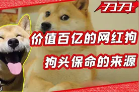 一张价值百亿的狗头保命表情包,它背后的狗子到底是谁？视频封面