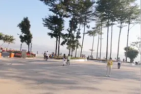 深圳的网红打卡地，深圳湾公园站，出地铁口就能看到大海，太美了视频封面