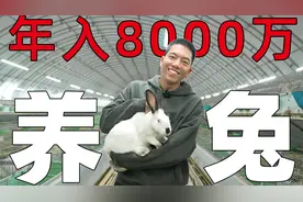 四川一个山沟子，养兔一年赚8000万！视频封面