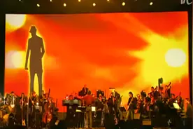 【LIVE】加勒比海盗主题曲德国小提琴家David Garrett
