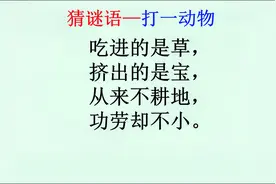 猜谜语：吃进的是草，挤出的是宝，从来不耕地，功劳却不小