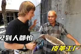 印尼蛇皮加工厂，旺季捕蛇几万斤，做成饰品利润翻几倍
