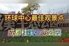 环球中心最佳观景点，成都桂溪生态公园，免费观景遛娃晒太阳视频封面