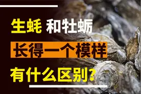 生蚝和牡蛎看起来很像，究竟有什么区别？了解这4点，再买不吃亏视频封面