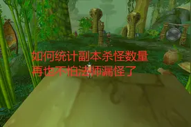 魔兽世界怀旧服如何统计副本杀怪数量，再也不怕法师漏怪了