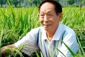 中国有多少人吃杂交水稻？这才是我们要感谢袁老的原因，很真实