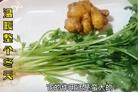 香菜加生姜用水一煮，作用真厉害，解决很多人的烦恼，省钱又实用