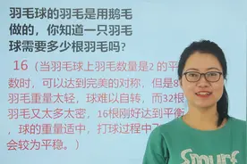 百科问答：羽毛球的羽毛是鹅毛做的，一只羽毛球需要多少根羽毛？