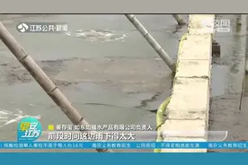 看了你还敢吃吗?南通南美白对虾养殖场污染严重:池水泛黄还刺鼻!