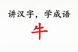 【四十年，四千字，四万词】讲汉字，学成语（100个），牛_niú