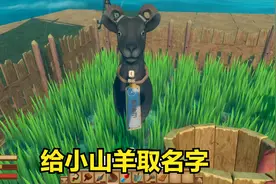 木筏求生32：给小山羊取给帅气的名字，冒险新成员帅帅正