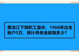 黑龙江下岗职工退休，1966年出生，账户5万，预计养老金能有多少视频封面