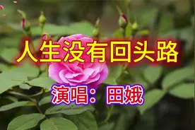 《人生没有回头路》谁能看清我心里有多苦，有太多无奈有太多无助