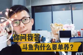 斗鱼只能养一条吗？同个鱼缸为啥不能养两条，那养一群斗鱼呢？