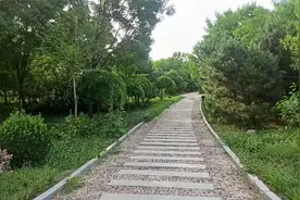 高考英语熟词新义 008 advance