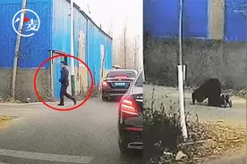 婚车经过烈士爷爷墓地军人新郎下车跪拜 ，车队集体鸣笛视频封面