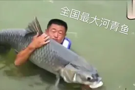 野钓大师在小小池塘竟钓到全国最大青鱼，长1.6米重80斤，太牛了