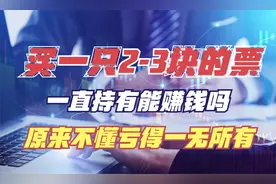 目前A股：可以买一支2—3块钱的票一直持有吗？不懂亏得一无所有视频封面