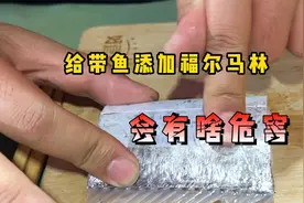 如何分辨带鱼有没有泡过福尔马林？视频封面