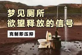 梦见厕所脏兮兮，心理学解梦，对自我身份的抗拒视频封面