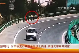 甘肃临夏：共享单车误上高速 高速交警帮其回家视频封面