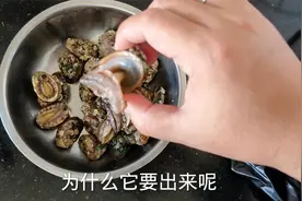 山东烟台鲍鱼真便宜，看看今天1斤多少钱，这价格你能接受吗？视频封面