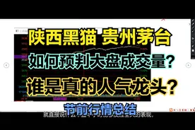 陕西黑猫，贵州茅台，天山铝业，节前行情总结，祝大家新春快乐！视频封面