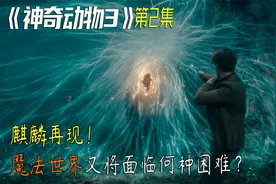 2022年最新奇幻大片《神奇动物3》邓布利多和格林德沃的爱恨情仇视频封面